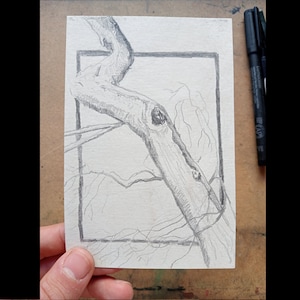 Tronco de árvore ondulado - A6 (105 x 148,5 mm) - Desenho original em grafite, desenho de observação, Arte, Natureza, Árvore