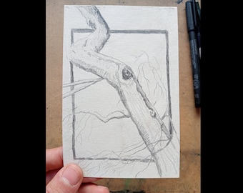 Tronc d'arbre ondulé - A6 (105 x 148,5 mm) - dessin original au graphite, dessin d'observation, art, nature, arbre
