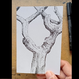 Tronc d'arbre fourchu - A6 (105 x 148,5 mm) - dessin original à la plume, dessin d'observation, art, nature, arbre