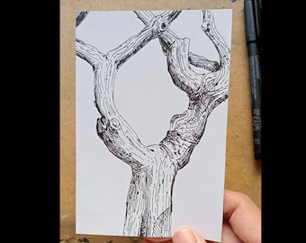 Tronc d'arbre fourchu - A6 (105 x 148,5 mm) - dessin original à la plume, dessin d'observation, art, nature, arbre