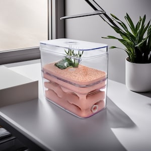May include: A clear plastic ant farm with a pink sand-like substrate and a small green plant inside. The ant farm has a clear lid and a small tube on the bottom.