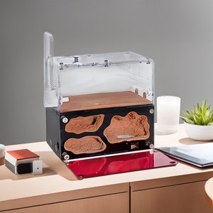 May include: A clear plastic ant farm with a black base and a red lid. The ant farm has a brown, textured surface inside with multiple chambers. The ant farm is sitting on a wooden table.