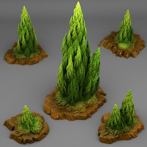 Peut inclure: Cinq arbres miniatures verts sur des bases rocheuses brunes. Les arbres sont de tailles et de formes différentes, certains ayant un aspect plus touffu et d'autres un sommet plus pointu.