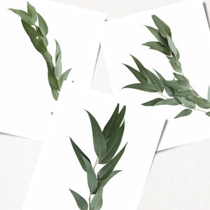 Leaf Prints
