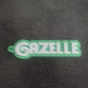 Zootopia Namnnyckelring | Personlig nyckelring | Alla namn möjliga | Gåva till Disney-fan | Ryggsäckshänge | Namnbricka Gras groen