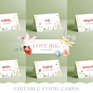 Carta alimentare con insetti e farfalle, tenda alimentare MODIFICABILE, il nostro dolce piccolo insetto, decorazioni per la festa del 1° compleanno, ragazza coccinella, modello CANVA 013