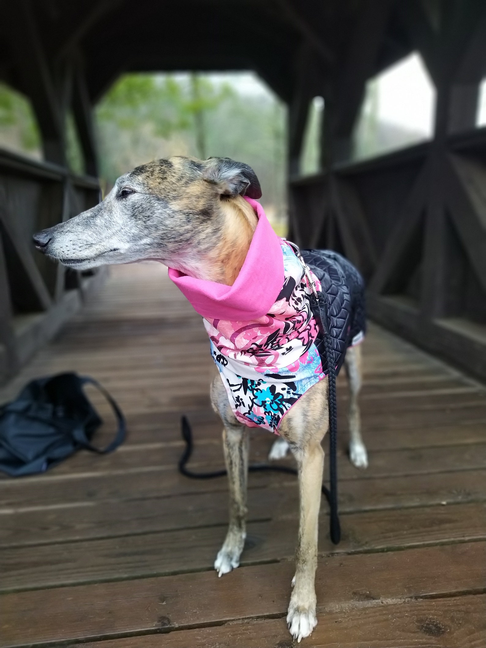 Ahoy Hound Coat