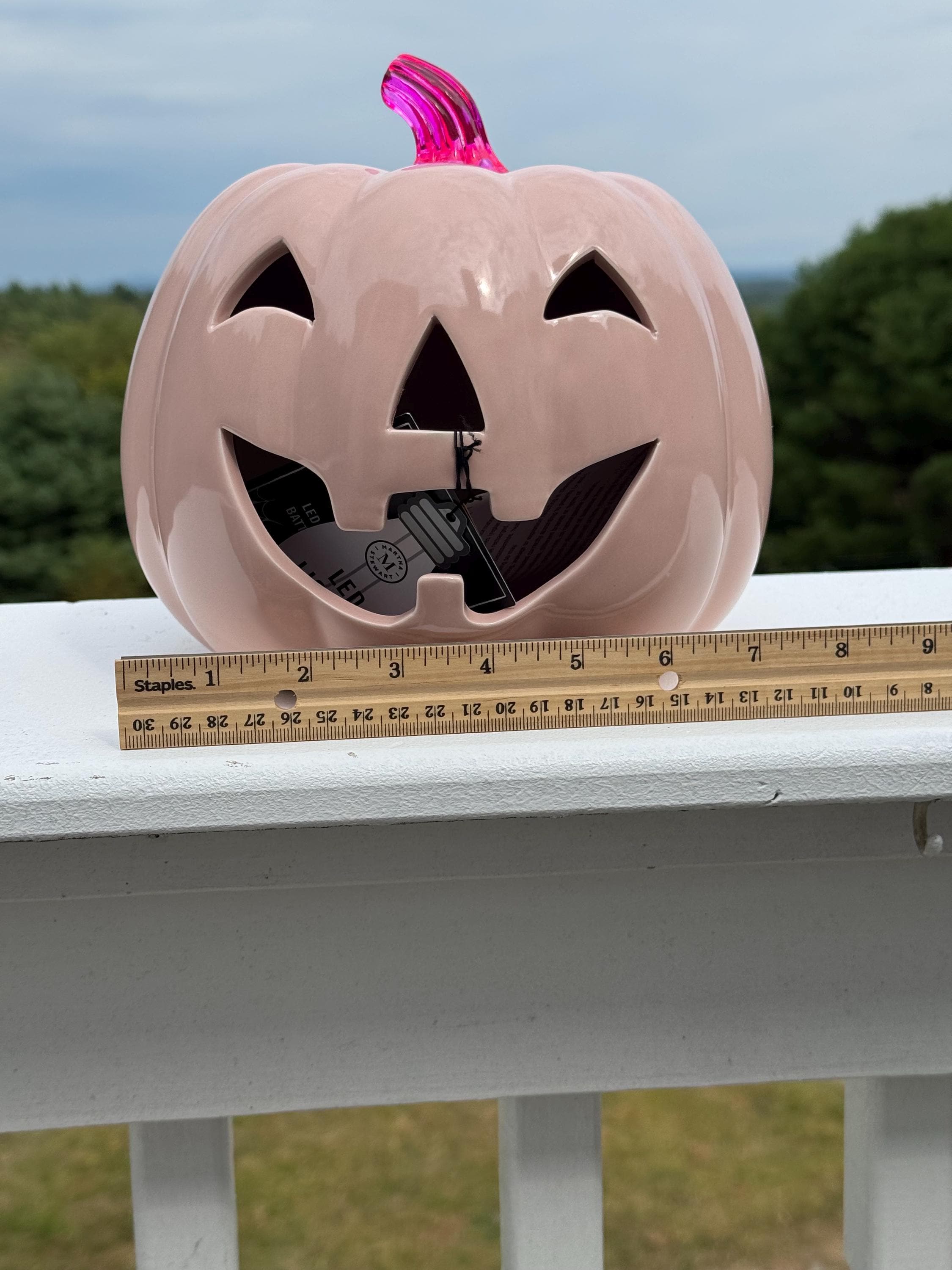 Polish Martha Stewart PINK Ceramic Battery Lighted Jack-o'-lantern