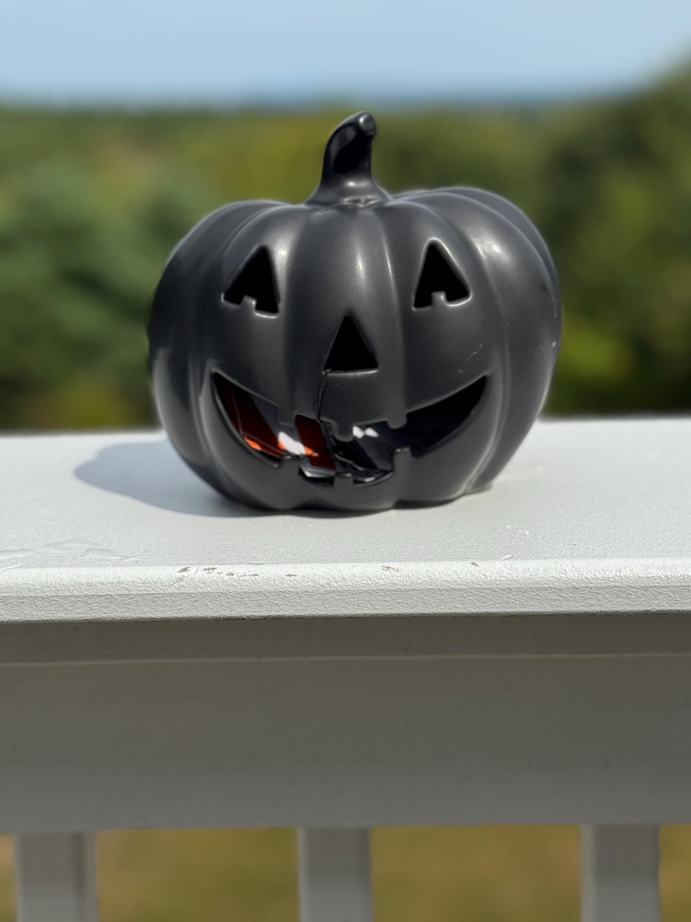 Martha Stewart Halloween Decor - Etsy