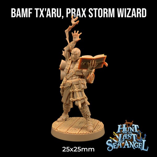 Bamf Tx'aru, Prax Storm Wizard | Dragon Trappers Lodge | 3D Printed Minis | Tough Resin  | DnD Minis | Pathfinder | Dungeons and Dragons
