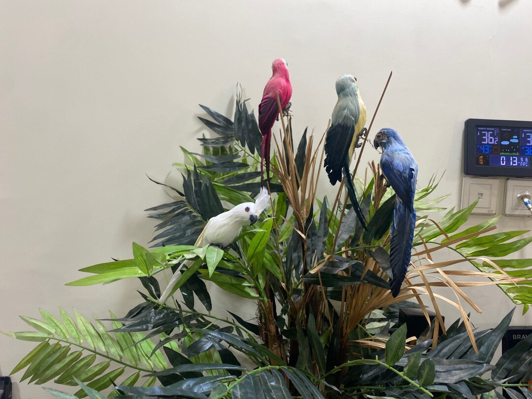 Handcrafted Foam Artificial Feather Bird Imitation Home Etsy