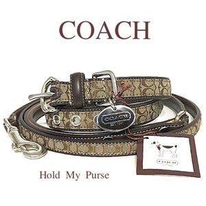 Gucci Dog Collar and Leash Etsy