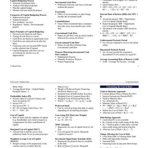 May include: A white paper with black text detailing CFA Level 1 Master Notes on Corporate Issuers, Capital Budgeting, and Investment Decision Criteria. Includes formulas and financial terms.