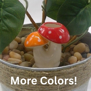 Mushroom Plant Watering - Etsy