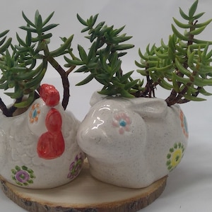 Könnte beinhalten: Zwei weiße Keramik-Pflanzer in Form eines Huhns und eines Schweins, mit bunten Blumenmustern. Jeder Pflanzer ist mit einer Sukkulentenpflanze gefüllt.