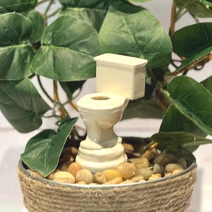 Puede incluir: Una figura de inodoro en miniatura de color crema se encuentra entre pequeñas piedras en una maceta decorativa. La maceta está envuelta con cuerda y rodeada de plantas de hojas verdes. Un artículo de decoración del hogar único y caprichoso.