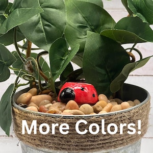 Estaca de riego de cerámica con forma de mariquita, decoración de jardín con diseño vintage, bonito regalo con sistema de autorriego para amantes de las plantas.