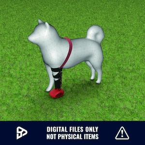 May include: A 3D model of a dog wearing a red harness and a black and red prosthetic leg. The dog is standing on green grass.