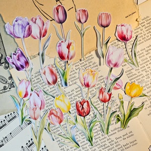 Set met uitsnijdingen tulpbloemen van 21 stickers| • Scrapbooking • Kaarten maken • Artjournaling • Papierkunst • Junkjournaal