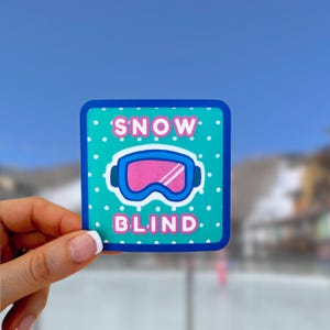 Ski Sticker, Valentines Gift for Skiers Snowboarders, Water Bottle Sticker, Helmet, Mountain, Waterproof, Snow, Skiing Decal, ski trip gift