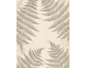 Fern Wall Art Print, Botanical Illustration Poster, Matte Vertical Nature Artwork, Vintage-Inspired Home Decor
