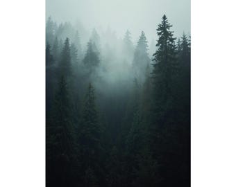 Misty Evergreen Forest Wall Art Poster, Atmospheric Woodland Print, Nature Home Décor, Gift