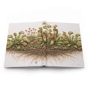 Puede incluir: Diario abierto con una ilustración detallada de plantas carnívoras, incluyendo atrapamoscas y plantas jarra. La obra de arte muestra las raíces y el follaje de las plantas en tonos verdes, rojos y marrones sobre un fondo blanco texturizado.