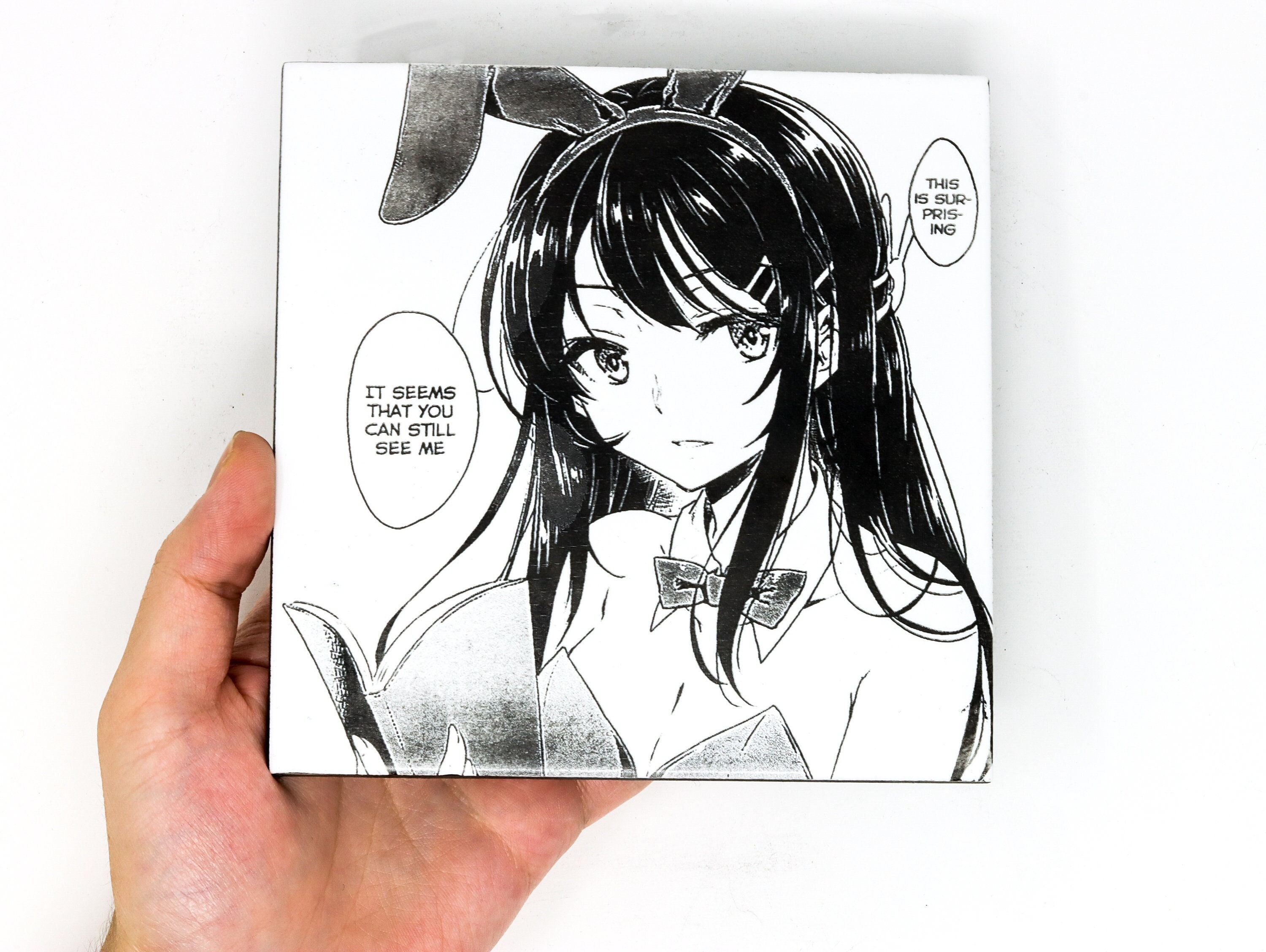 Seishun Buta Yarou (Novel) - Baka-Updates Manga