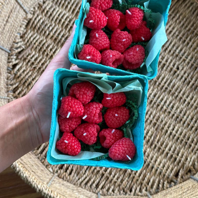 Raspberry Decor - Etsy
