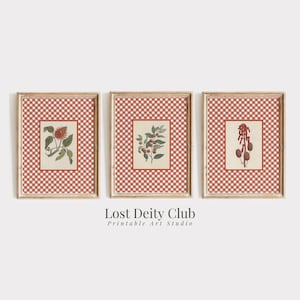 May include: Three framed botanical prints. Each print features a different floral or plant illustration within a red and white gingham pattern. The frames are a light brown color. The text "Lost Deity Club Printable Art Studio" is at the bottom.