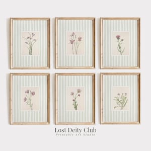 Pink Floral Art Print Set of 6 Light-Green Stripe Cottagecore Botanical Prints, Girls Room Pastel Grandmillennial Decor #S175