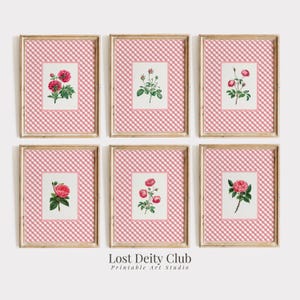 Rose Pink Gingham Floral Art Print Set of 6 Cottagecore Botanical Prints, Girls Room Pink Grandmillennial Art Prints for Checked Decor #S138