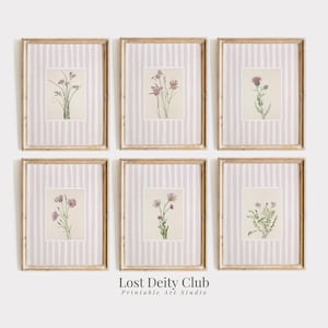 Pink Striped Floral Art Print Set of 6, Cottagecore Botanical Prints, Girls Room Pastel Pink Grandmillennial Decor Neutral Gallery | #S174