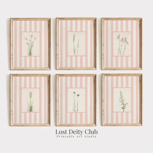 Pink Striped Floral Art Print Set of 6, Cottagecore Botanical Prints, Girls Room Pastel Pink Grandmillennial Decor DIGITAL Download | #S165