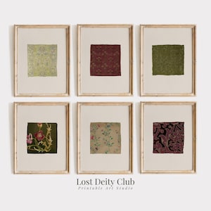 May include: Six framed prints featuring fabric swatches in various colors and patterns. The prints are in gold frames and are arranged in two rows of three. The bottom of the image has the text "Lost Deity Club Printable Art Studio."