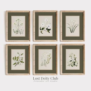 Neutral Botanical Wall Art Set of 6 Flower Art Prints, Sage Green Matted Vintage Floral Gallery Wall Set DIGITAL Downloadable Wall Art #S127