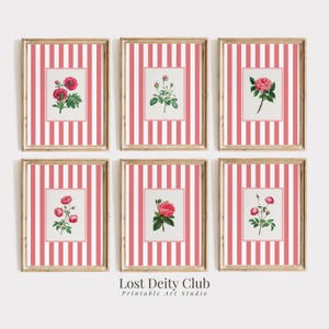 Rose Pink Striped Floral Art Print Set of 6 Cottagecore Botanical Prints, Girls Room Pink Grandmillennial Decor DIGITAL Download | #S138