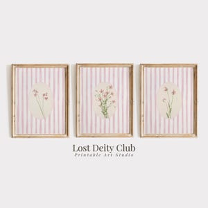 Pink Striped Floral Art Prints Set of 3, Cottagecore Botanical Prints, Girls Room Pastel Pink Grandmillennial Decor DIGITAL Download #S122
