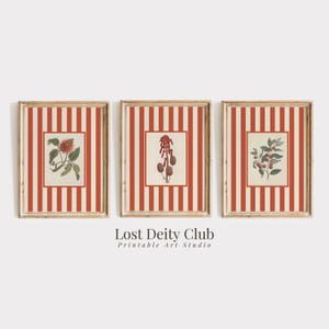 Burnt Orange Striped Cottagecore Botanical Wall Art Print Set of 3, Old Money Gallery Wall Art Set, Preppy Grandmillennial Decor | #S147