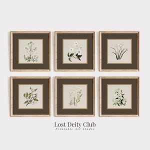 Neutral Botanical Print Set of 6 Flower Art Prints, Gold Brown Matted Square Wall Art, PRINTABLE Vintage Floral Gallery Wall Set | #S135/1