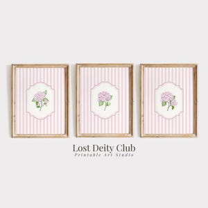 Pink Hydrangea Print Set of 3 Nancy Meyers Pink Grandmillennial Wall Art, Striped Cottagecore Floral Prints, Coastal Grandmother Art | S213