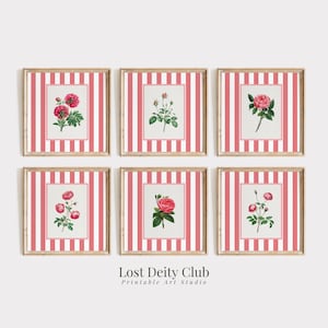 Rose Pink Striped Floral Art Print Set of 6, Cottagecore Botanical Prints Square Wall Art, Girls Room Pink Grandmillennial Decor #S138/1