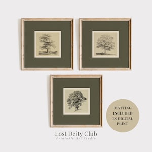 Peut inclure: Trois impressions encadrées présentant des illustrations détaillées d'arbres en noir et blanc sur un fond crème, encadrées d'un passe-partout vert foncé. Les cadres ont une finition en bois clair. Le texte "Lost Deity Club Printable Art Studio" est en bas.