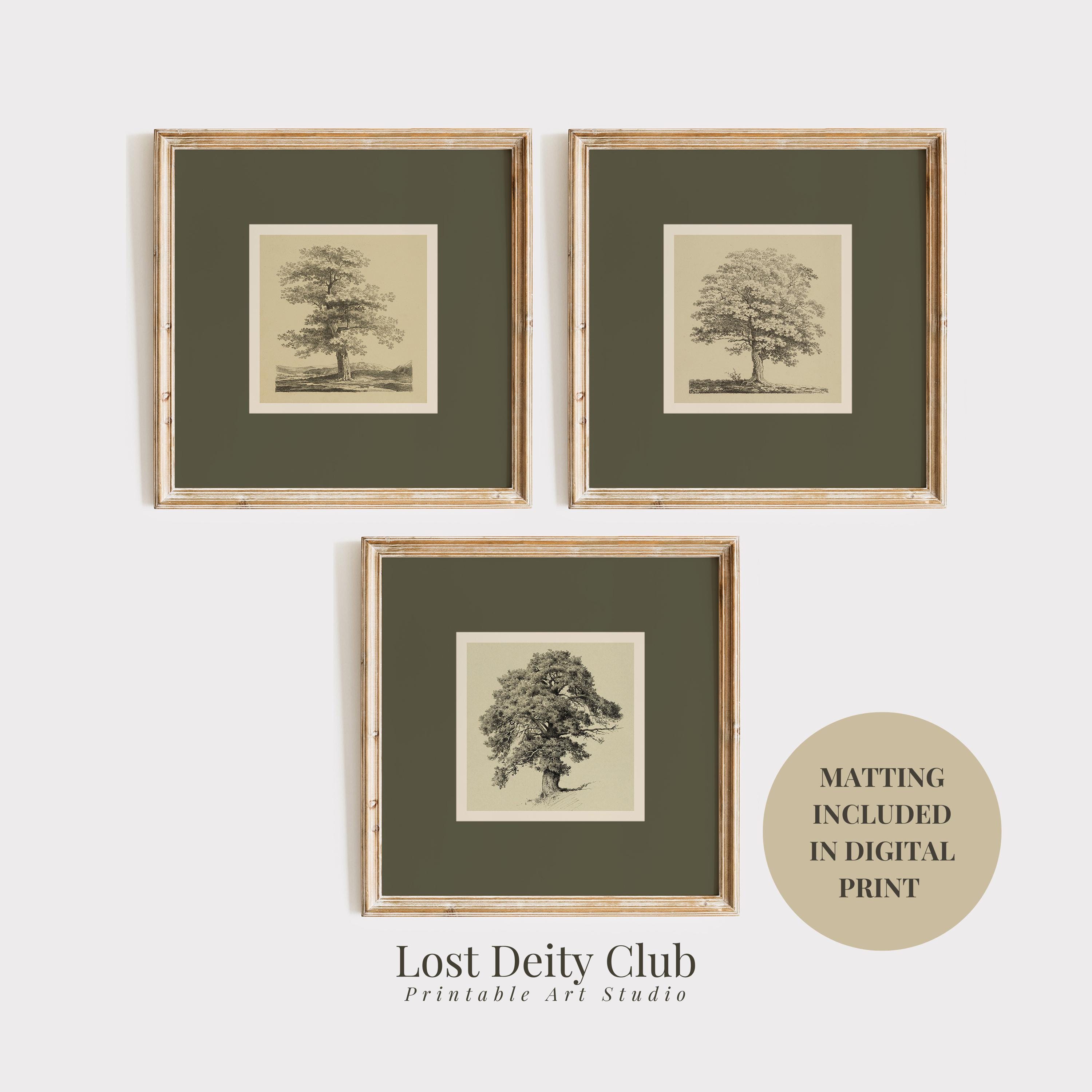 Neutral Botanical Print Set, Vintage ...