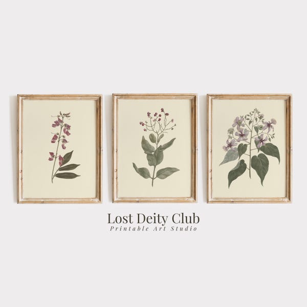 Neutral Botanical Wall Art Set of 3 Pink Floral Art Prints, Wildflowers Cottagecore Aesthetic DIGITAL Vintage Floral Gallery Wall Set #S148