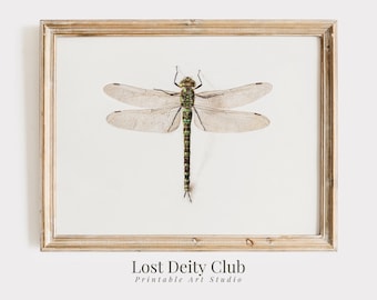 Dragonfly Art Vintage Sketch Print, Minimalist Nature Wall Art PRINTABLE Entomology Insect Art, Rustic Farmhouse Wall Art | #130