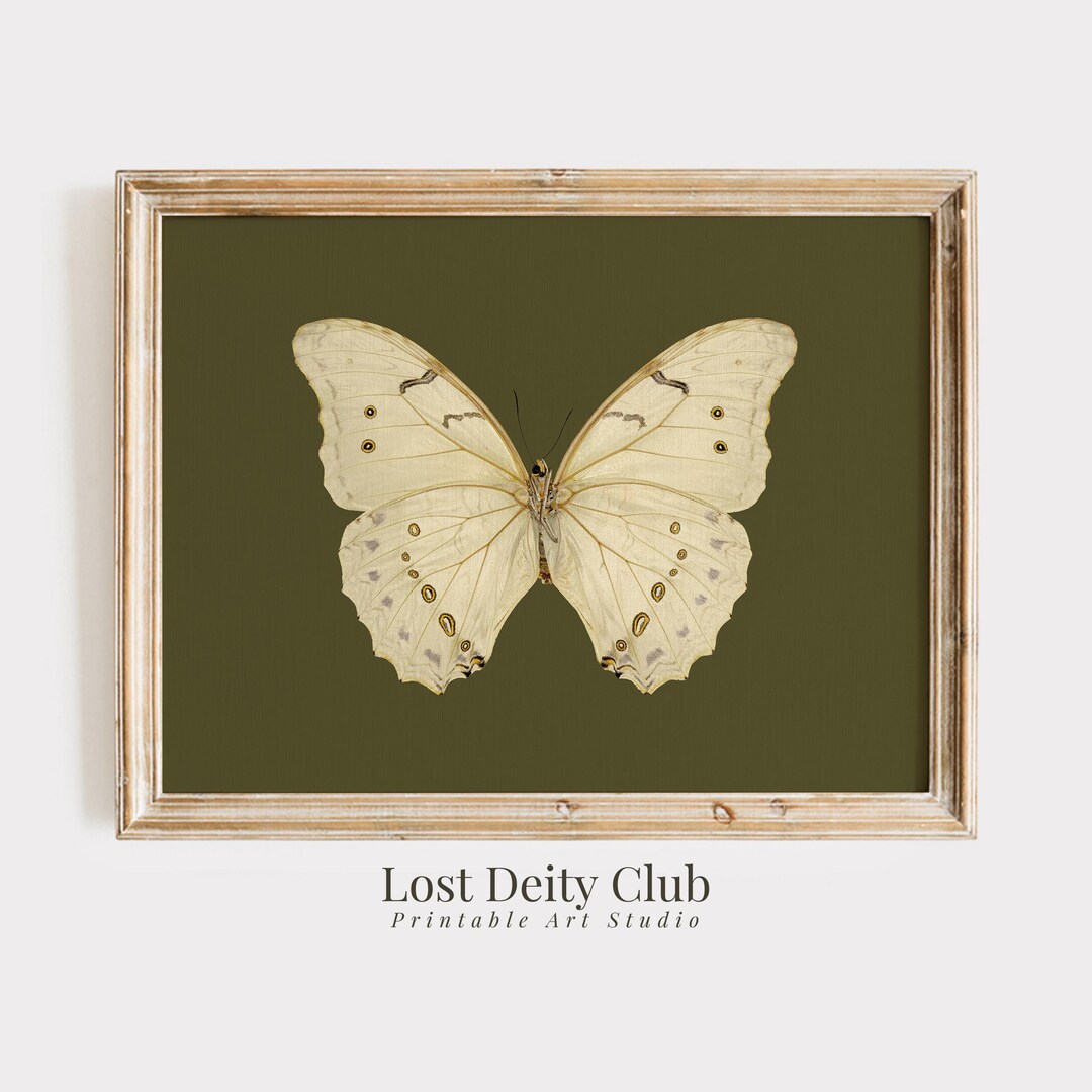 Vintage Butterfly Print: Sage Green Cottagecore Wall Art Printable ...