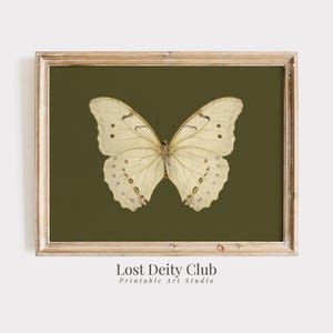 Vintage Butterfly Art Print, PRINTABLE Farmhouse Nursery Woodland Decor, Sage Green Decor Cottagecore Wall Art, Moth DIGITAL Download | #319