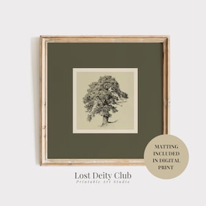 Neutral Botanical Print, Tree Wall Art Print, Sage Green Matted Square Wall Art Vintage Sketch Print, Transitional Home Decor | #364