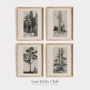 Vintage Galerie Wandbild Set von 4, botanische Wandkunst DRUCKBARE Baum Skizzen, Ätzdruck, Neutral Wand Kunst Set, digitaler Download #S71